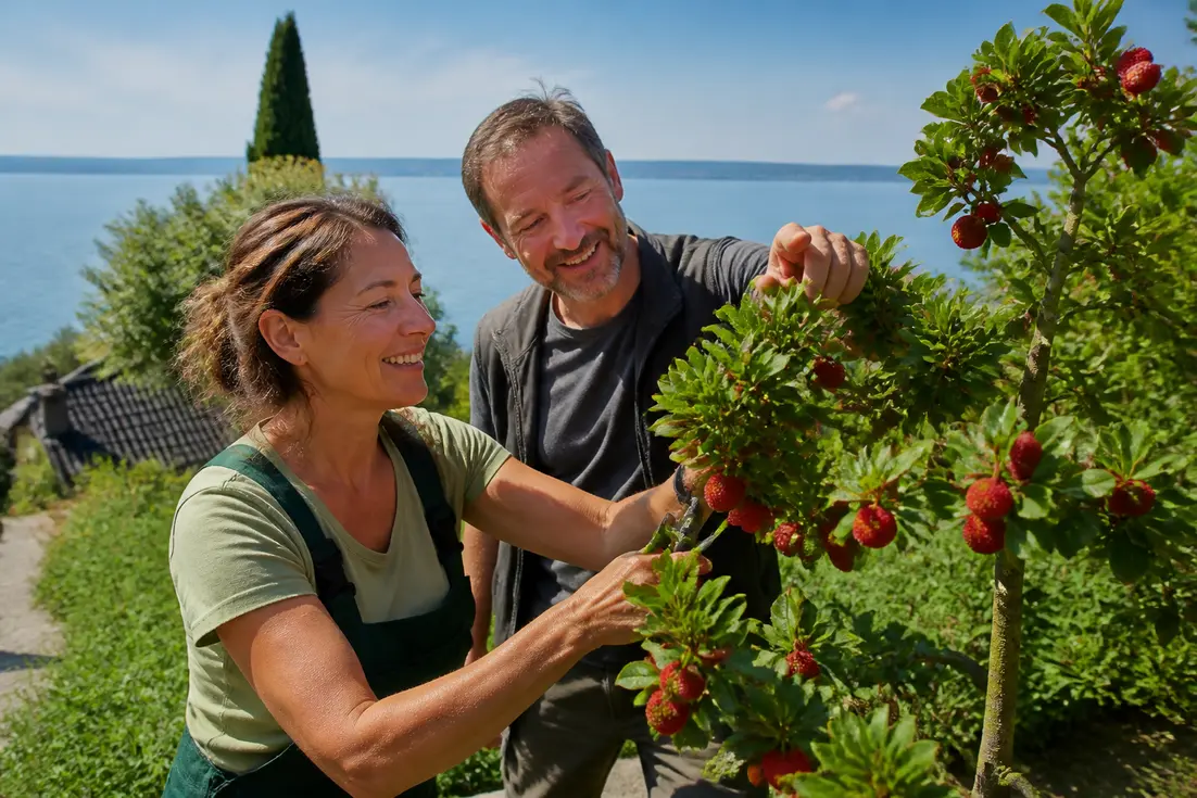 erdbeerbaum
