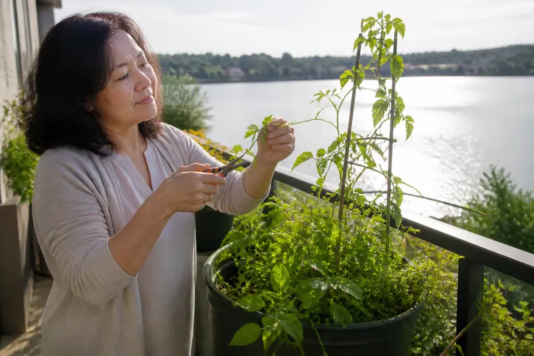 Une femme s'occupe d'une plante de Jiaogulan sur son balcon avec vue sur le lac.