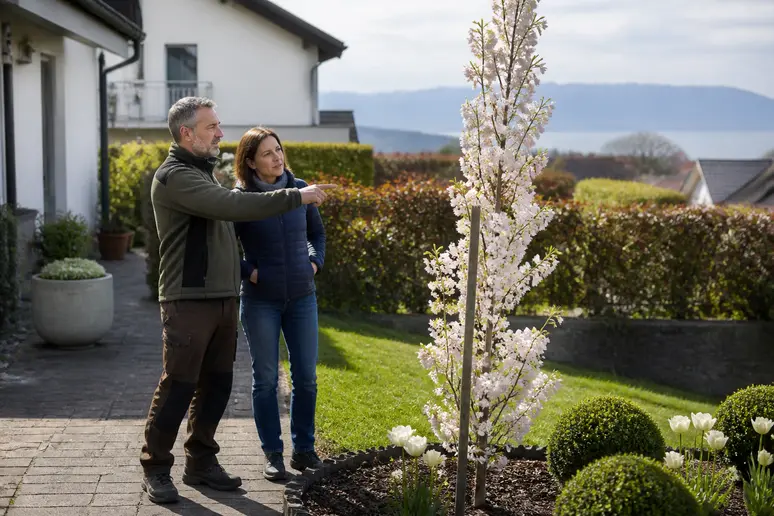 Ein deutsches Paar plant die Pflanzung eines säulenartigen Zierkirschenbaumes in ihrem Garten am Bodensee.