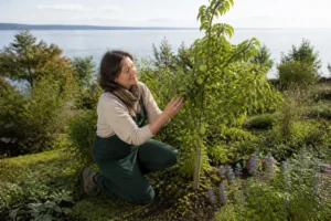 kleine-baeume-fuer-den-garten