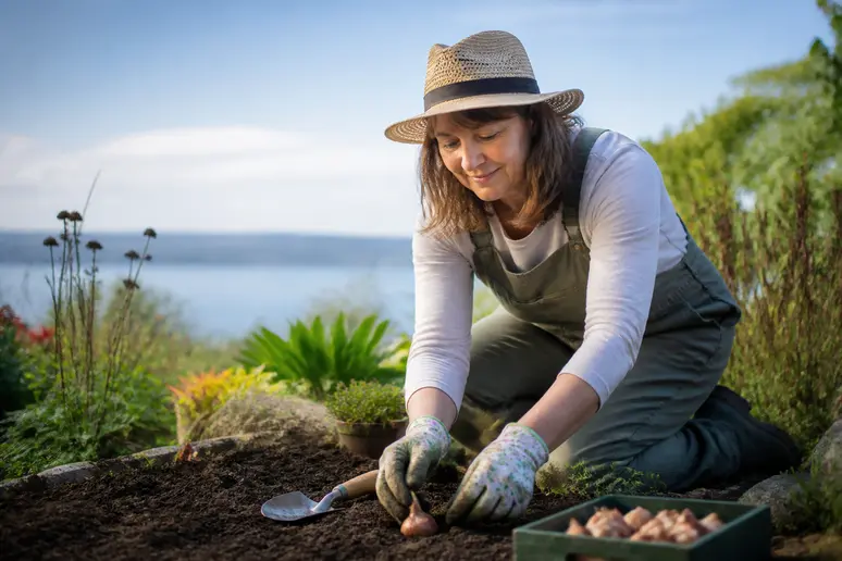 Frau pflanzt Montbretien-Knollen im Frühling in die Erde am Bodensee für üppige Blüten im Sommer. (Woman planting Montbretia bulbs in spring soil near Lake Constance for lush summer blooms.)