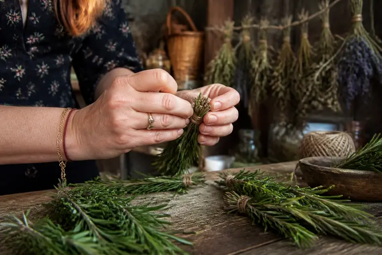 Des mains expertes préparent des bouquets de romarin fraîchement coupés pour le séchage dans une cuisine.