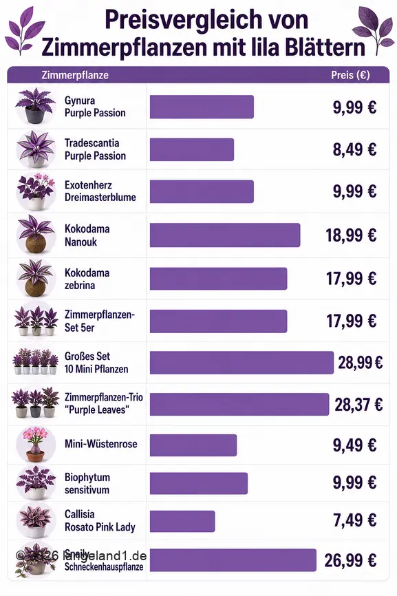 Vergleich der Preise verschiedener Zimmerpflanzen mit lila Blättern, um die kostengünstigste Option zu finden.