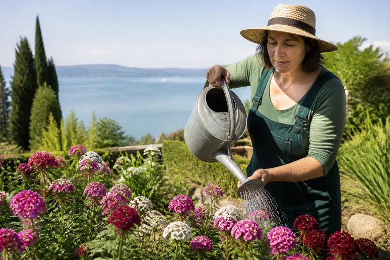 Eine Frau gießt blühende Bartnelken an einem sonnigen Tag mit Blick auf den Bodensee.