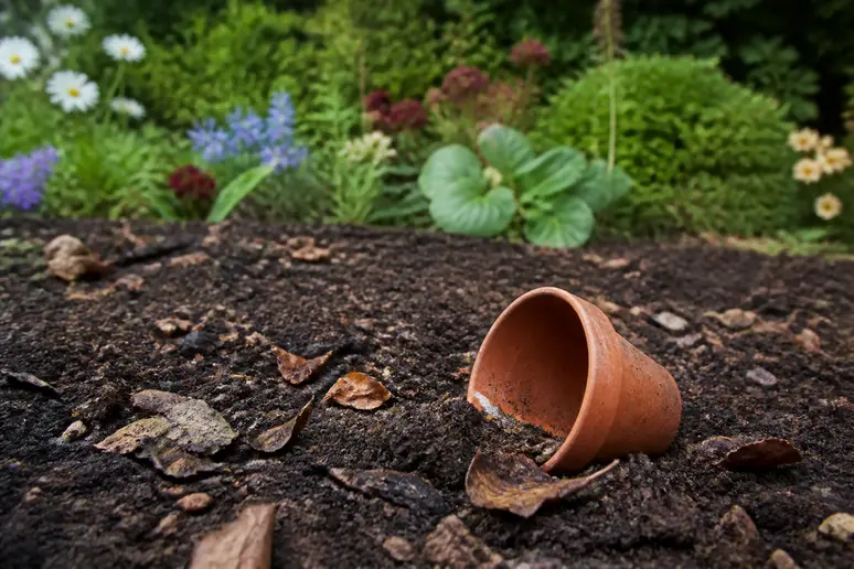 Umgedrehter Blumentopf als Versteck für Dickmaulrüssler im naturnahen Garten.
