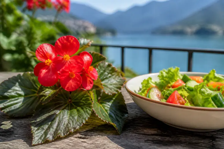 Essbare eisbegonienblüten garnieren einen Sommersalat auf einem Balkon mit Blick auf den Bodensee