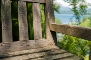 Wie Sie Holzwürmer im Gartenholz naturnah bekämpfen?