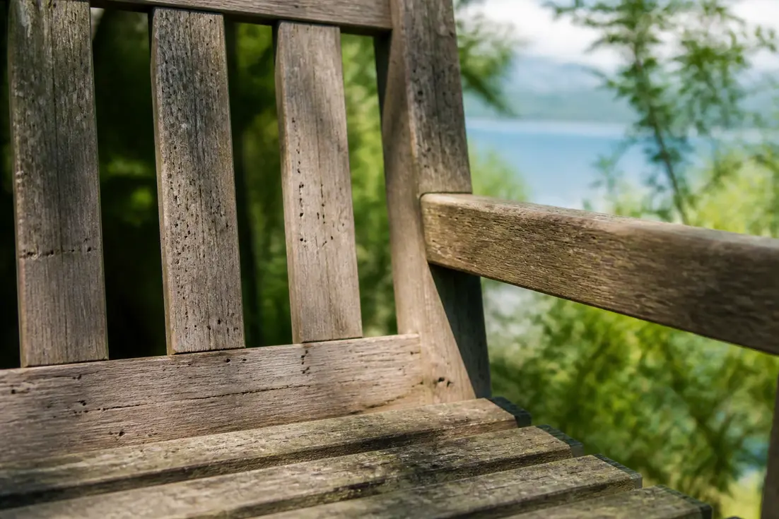 Wie Sie Holzwürmer im Gartenholz naturnah bekämpfen?