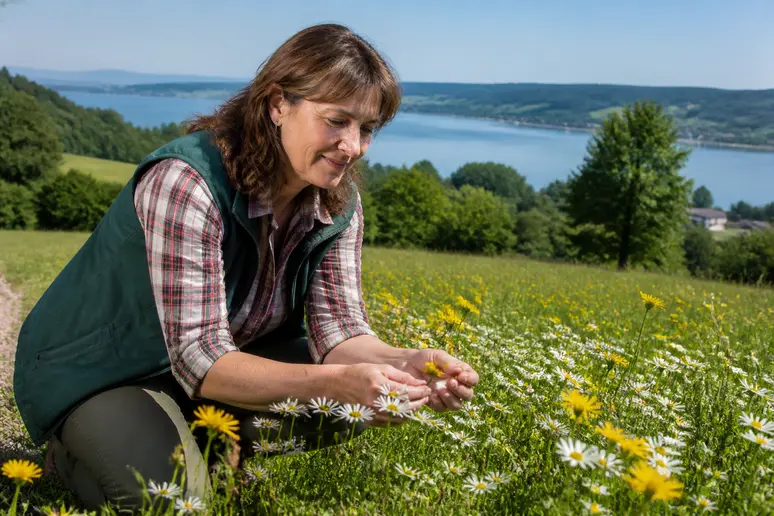 Eine Frau mittleren Alters kniet auf einer sonnigen Wiese am Bodensee und betrachtet Butterblumen und Margeriten.