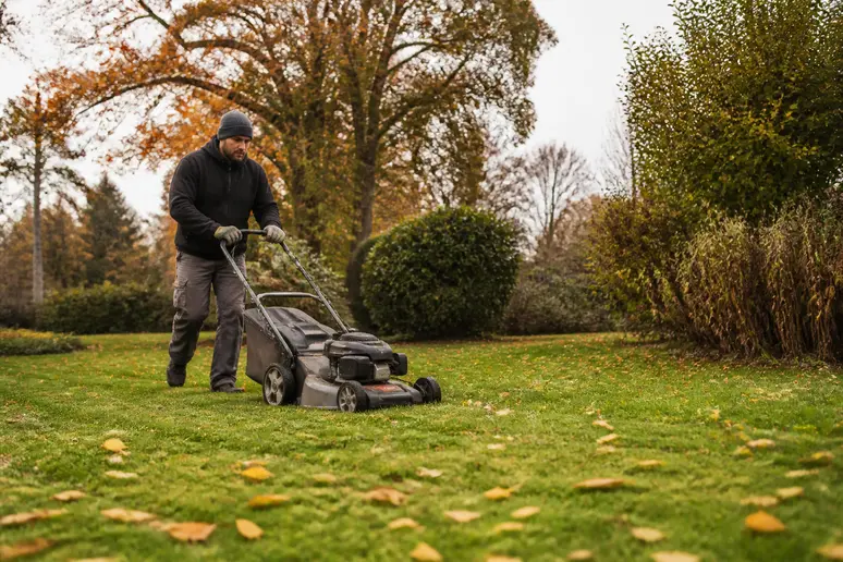 Rasenmähen und Laubrechen auf dem Gartenrasen im späten Oktober