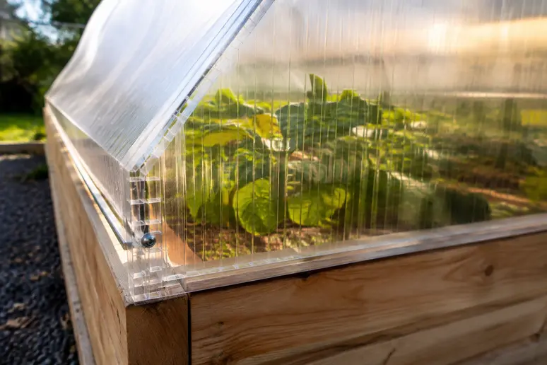 Doppelstegplatten als transparente Überdachung auf einem Hochbeet im Frühling