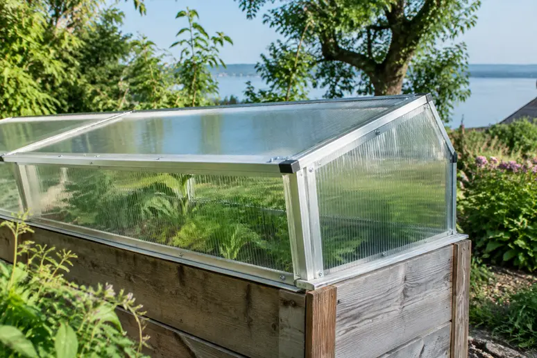 Ein hölzernes Hochbeet mit transparentem Frühbeetaufsatz im Garten bei Tageslicht