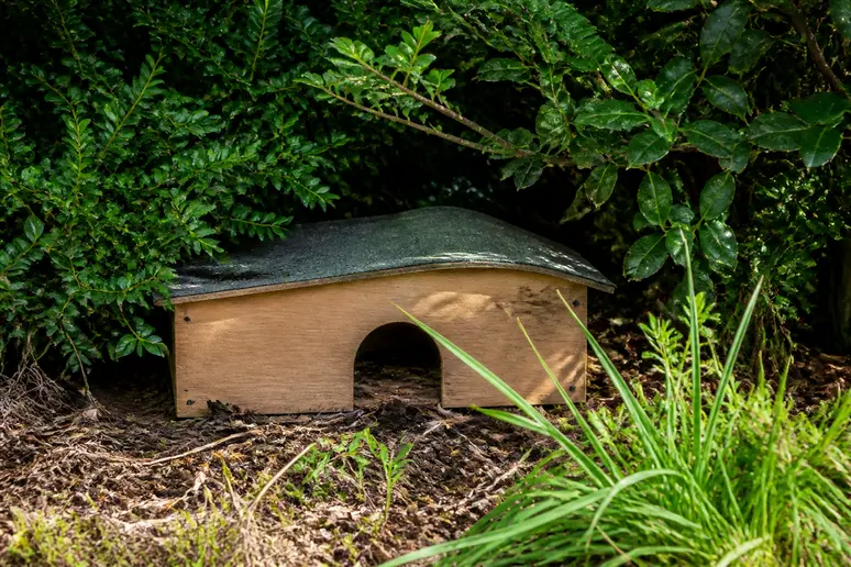 Ein naturnahes Igelhaus steht geschützt im schattigen Unterholz unter Sträuchern im Garten.