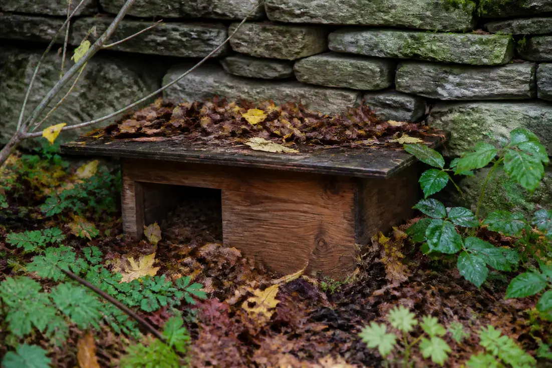 Ein artgerechtes igelhaus versteckt unter Laub und Totholz im naturnahen Garten am Bodensee