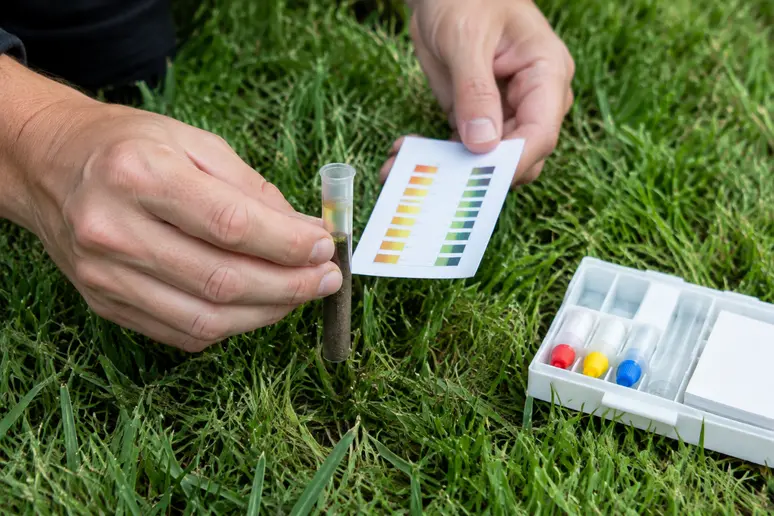 pH-Bodentest mit einem Testset auf einer moosigen Rasenfläche im Garten durchführen