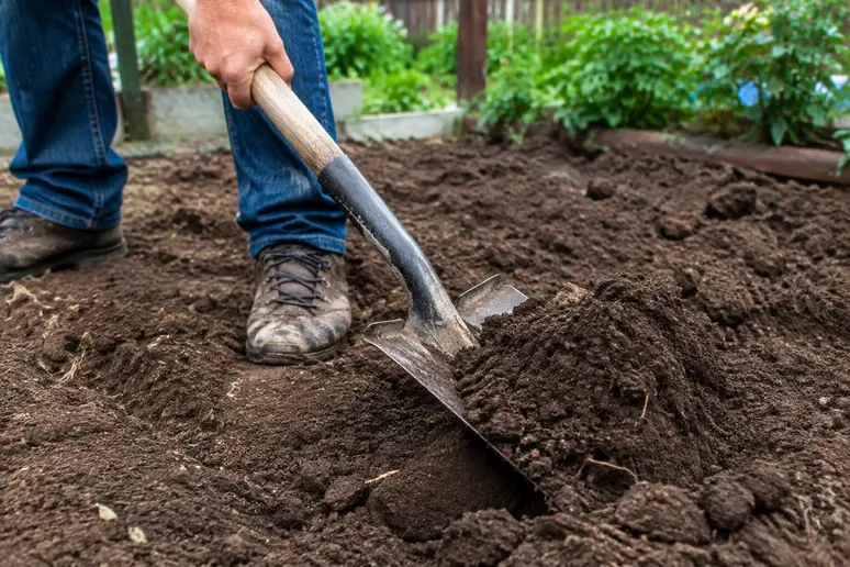 Gartenbesitzer lockert den feuchten Mutterboden spatentief für die neue Rasenfläche auf.