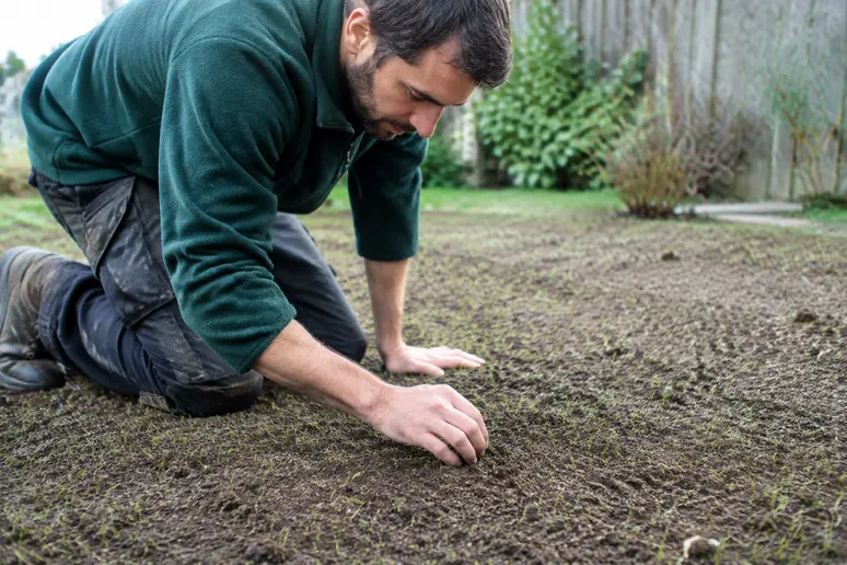 Hand prüft die Feuchtigkeit der obersten Erdschicht nach der Grassaat.