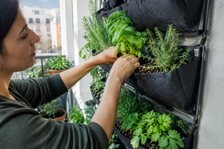 Einseitig bepflanzbares vertikales Hochbeet an einer Wand auf einem schmalen Balkon